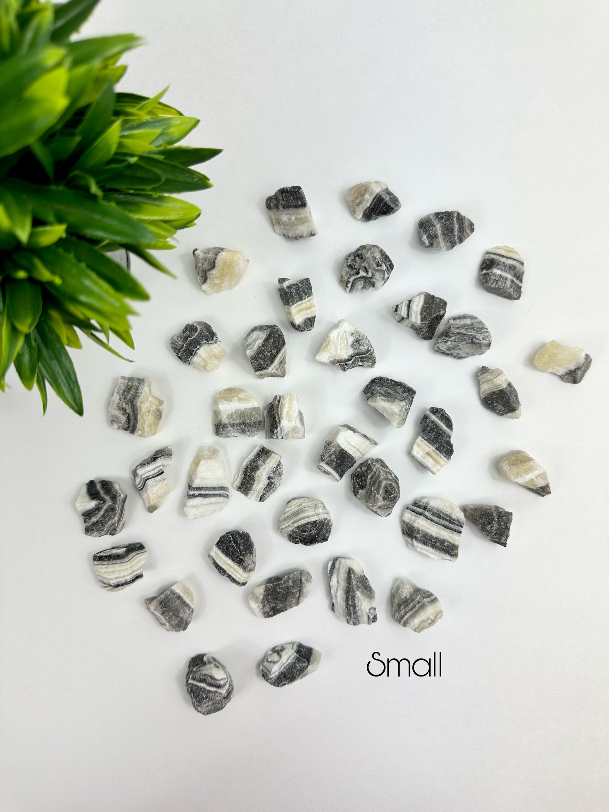 Small Zebra Onyx Raw Pieces