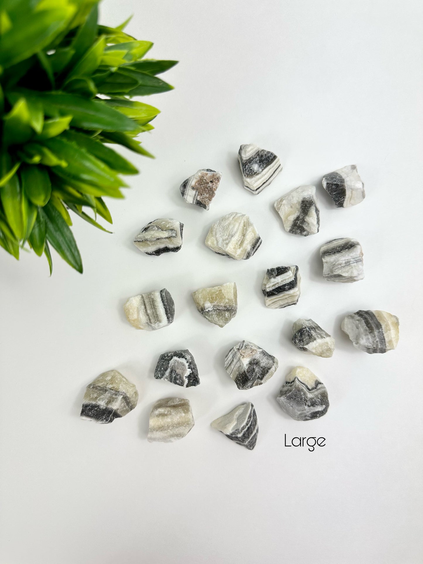 Large Zebra Onyx Raw Pieces