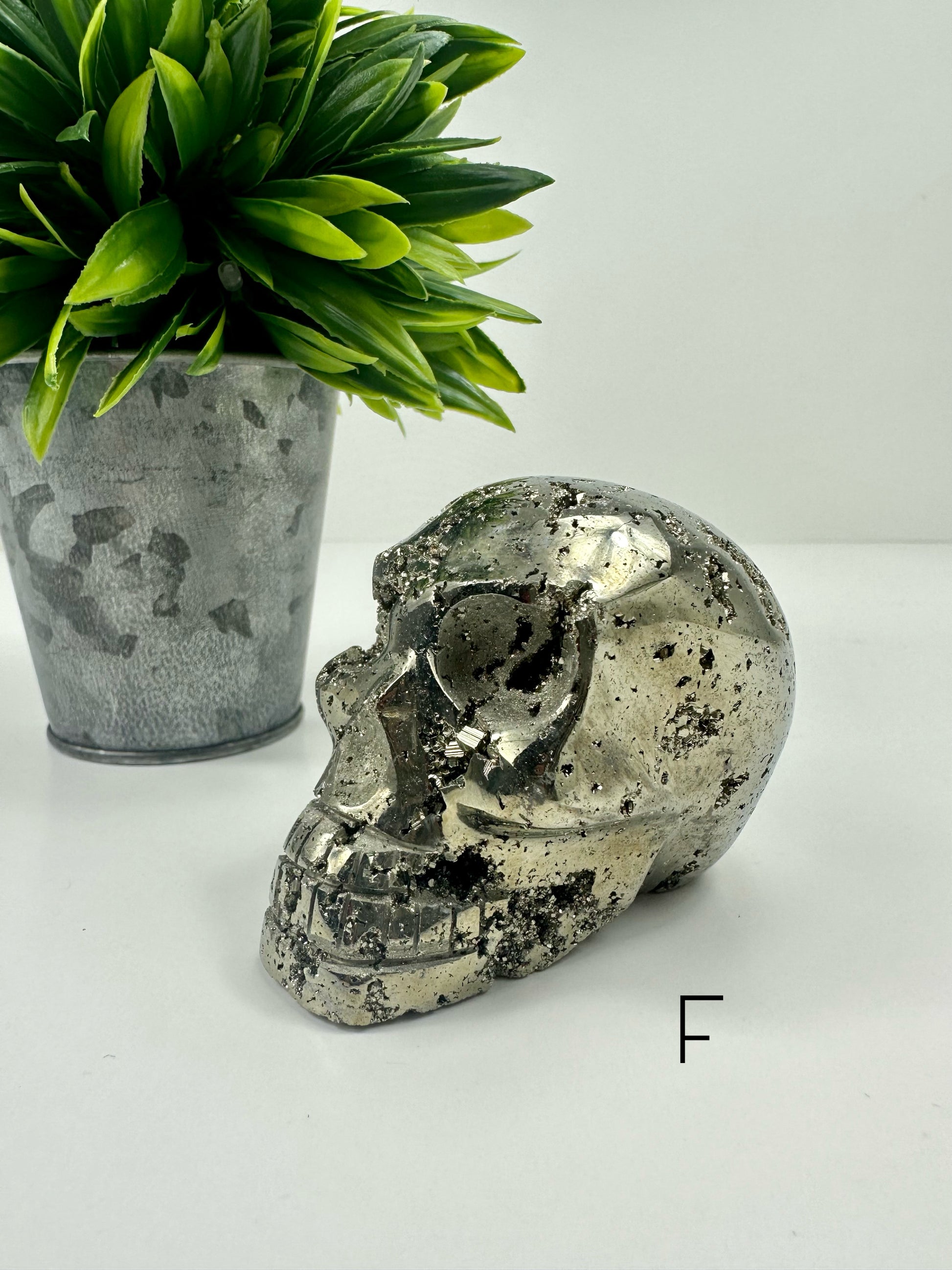 Pyrite Skull F