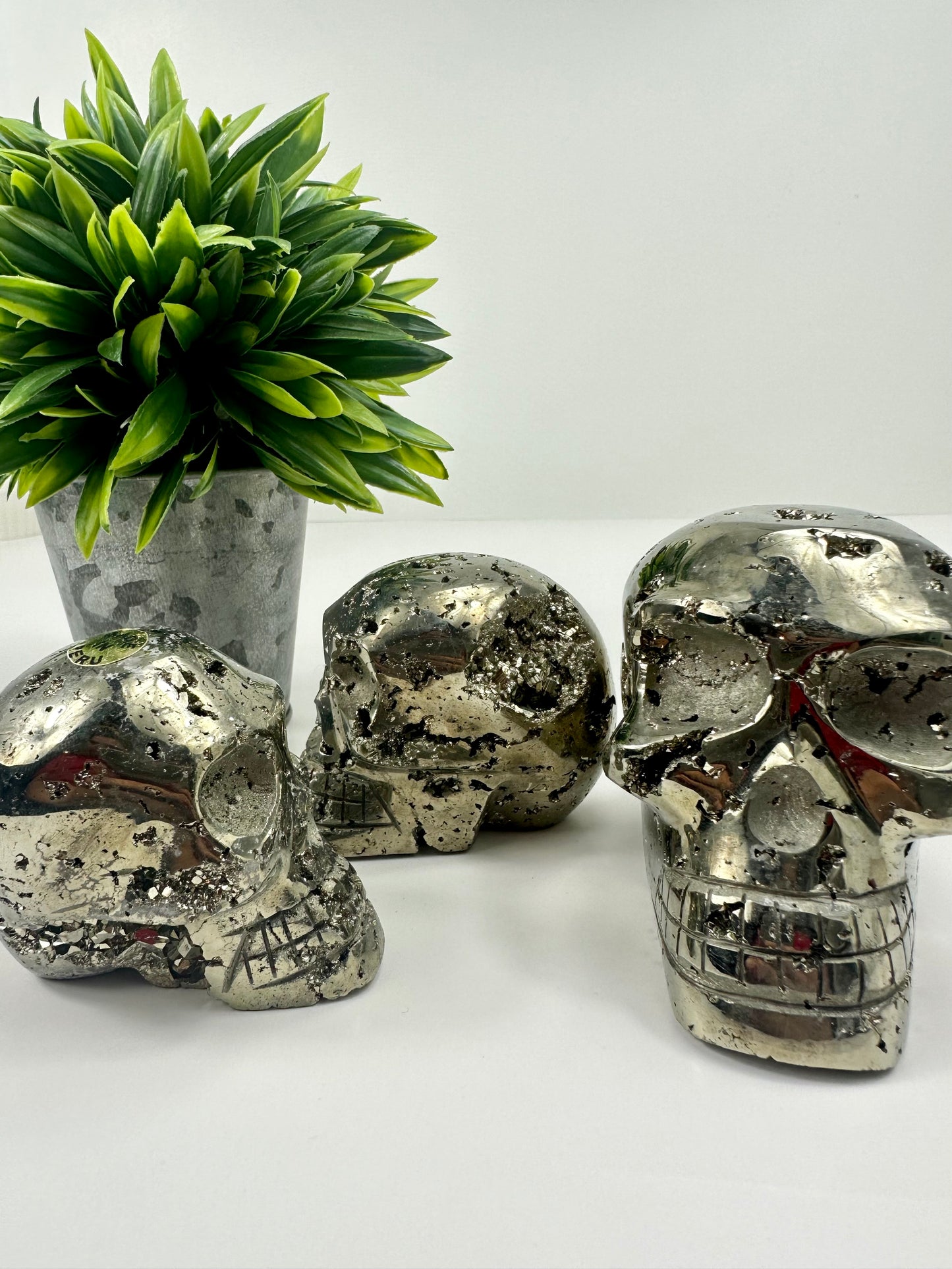 Pyrite Skulls