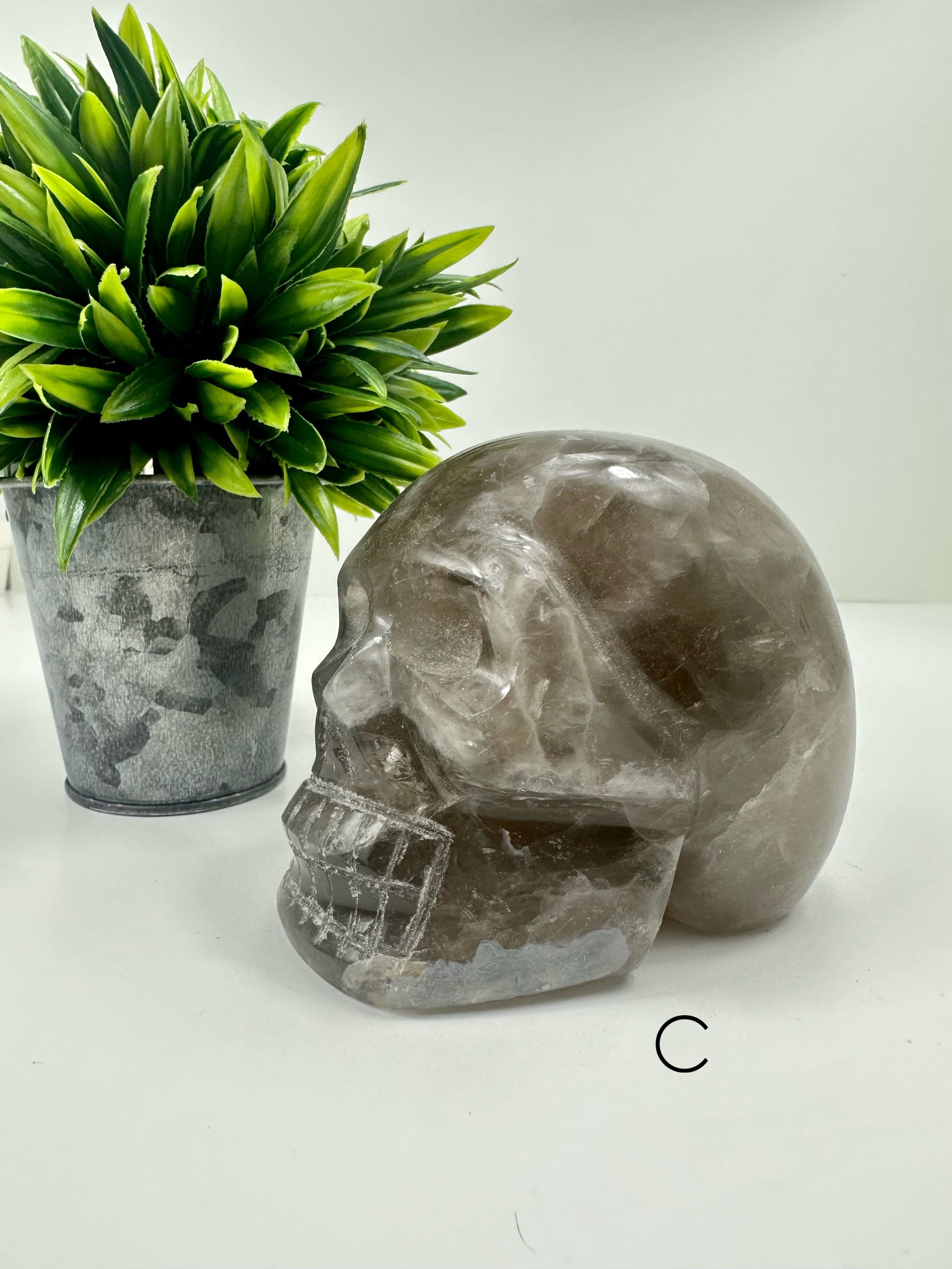 Smokey Quartz Skull C