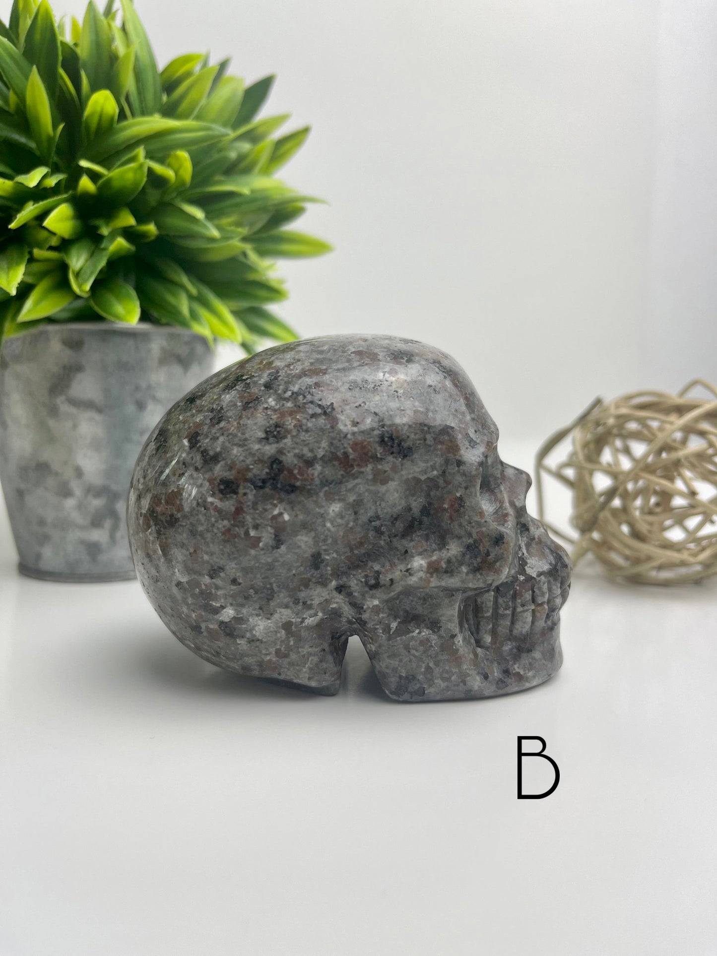 Yooperlite Skull B