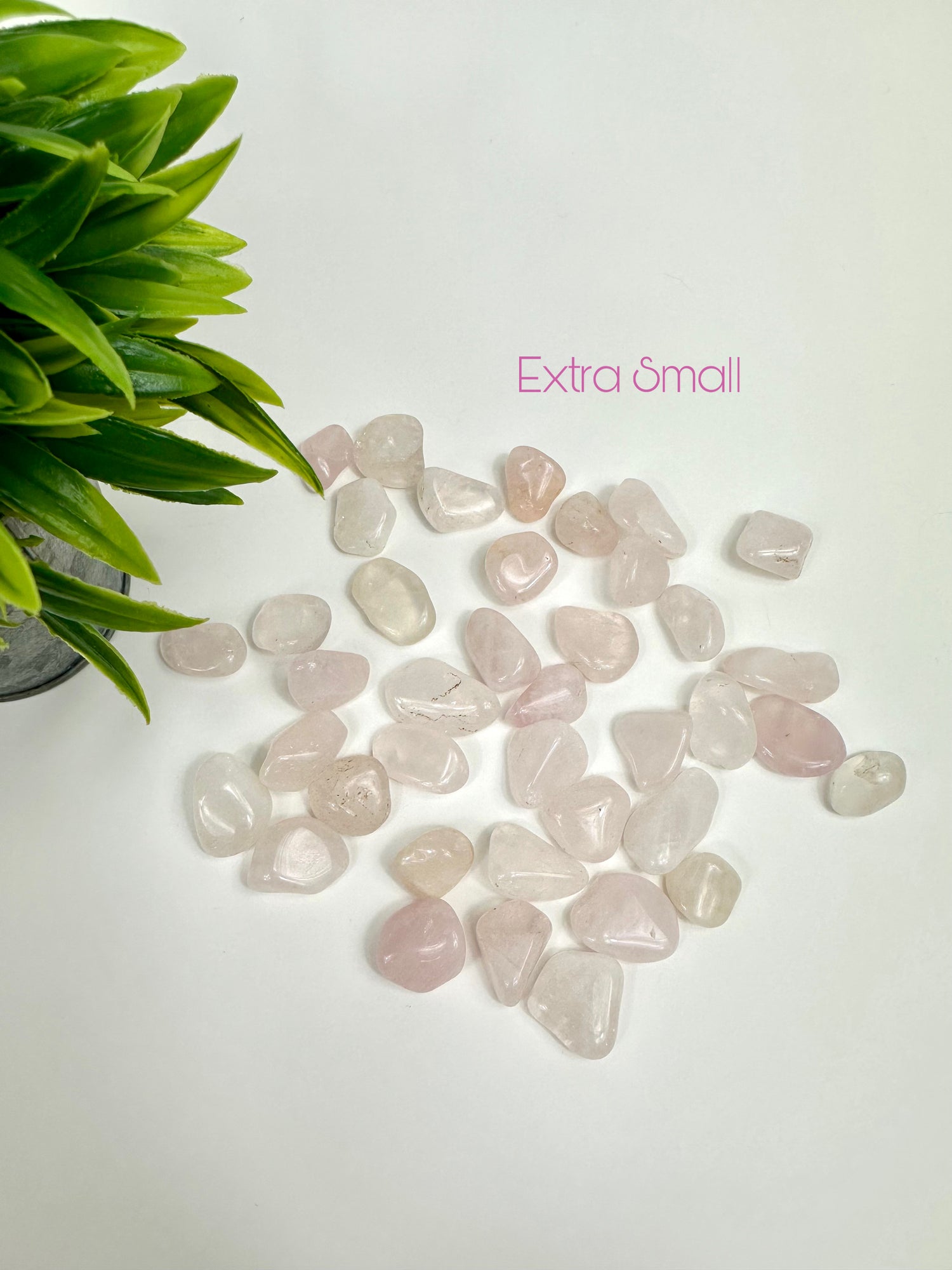 Extra Small Rose Quartz Tumbles