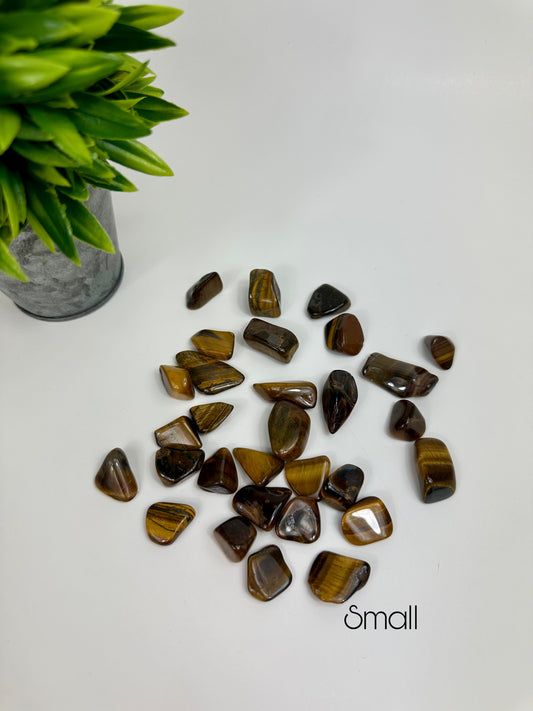 Golden Tiger's Eye Tumbles - Small