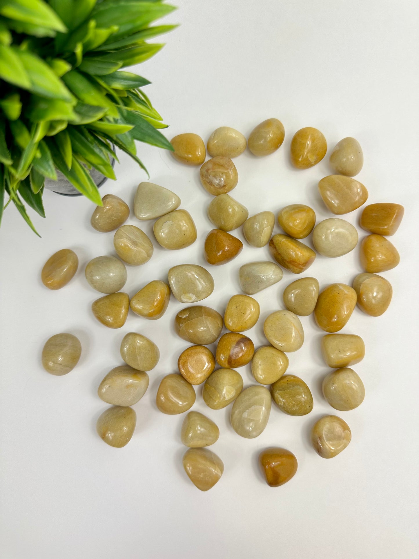 Yellow Jasper Tumbles