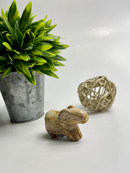 Picture Jasper Animals - Canadian Crystal Queens