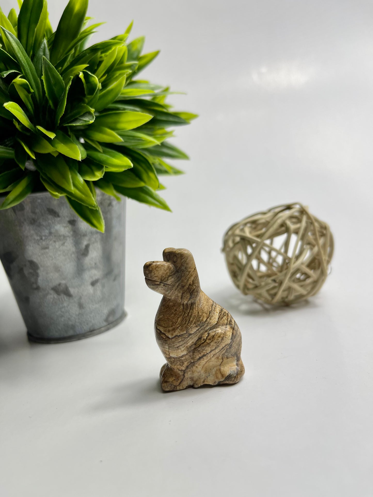 Picture Jasper Animals - Canadian Crystal Queens