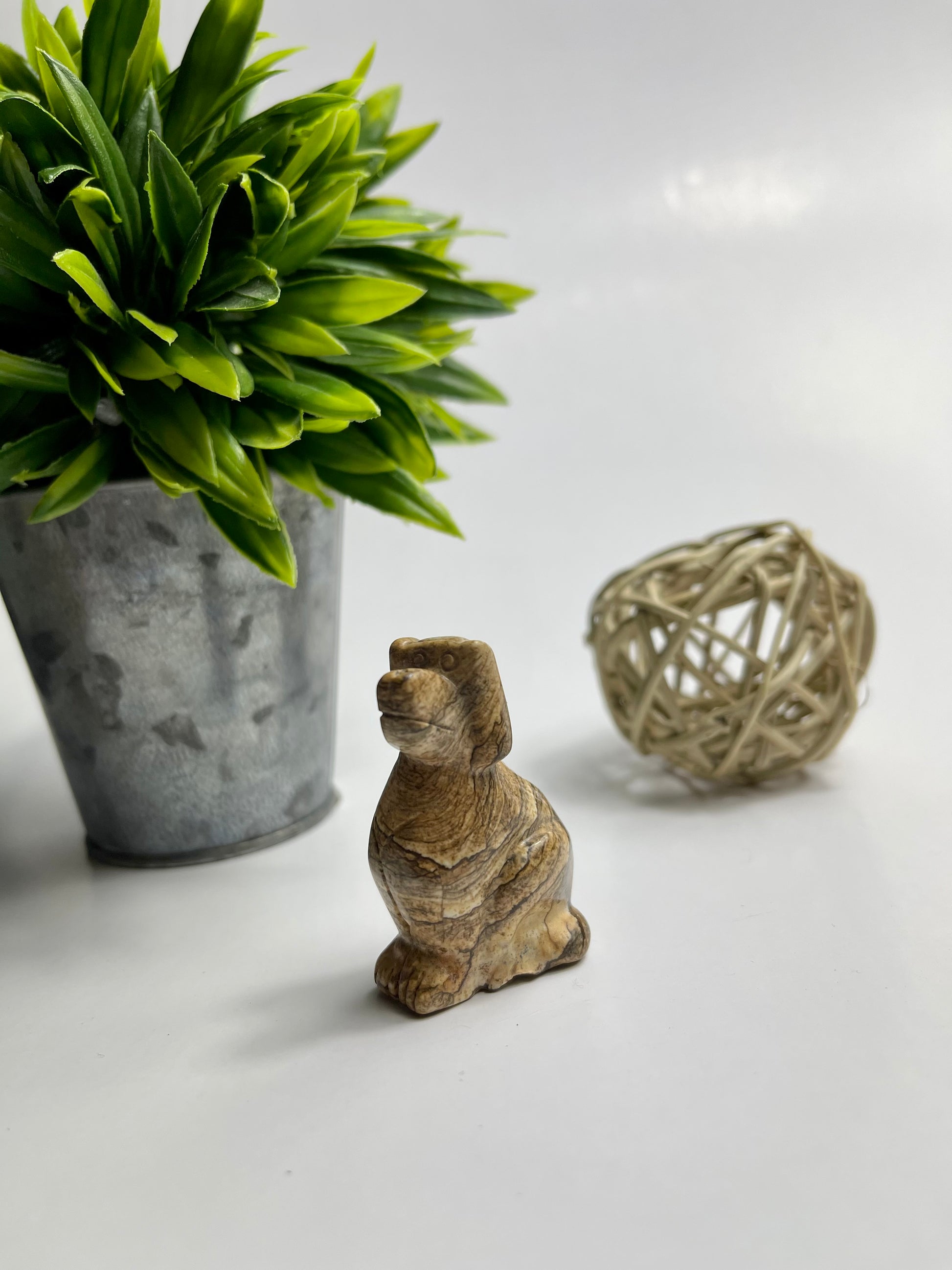 Picture Jasper Animals - Canadian Crystal Queens