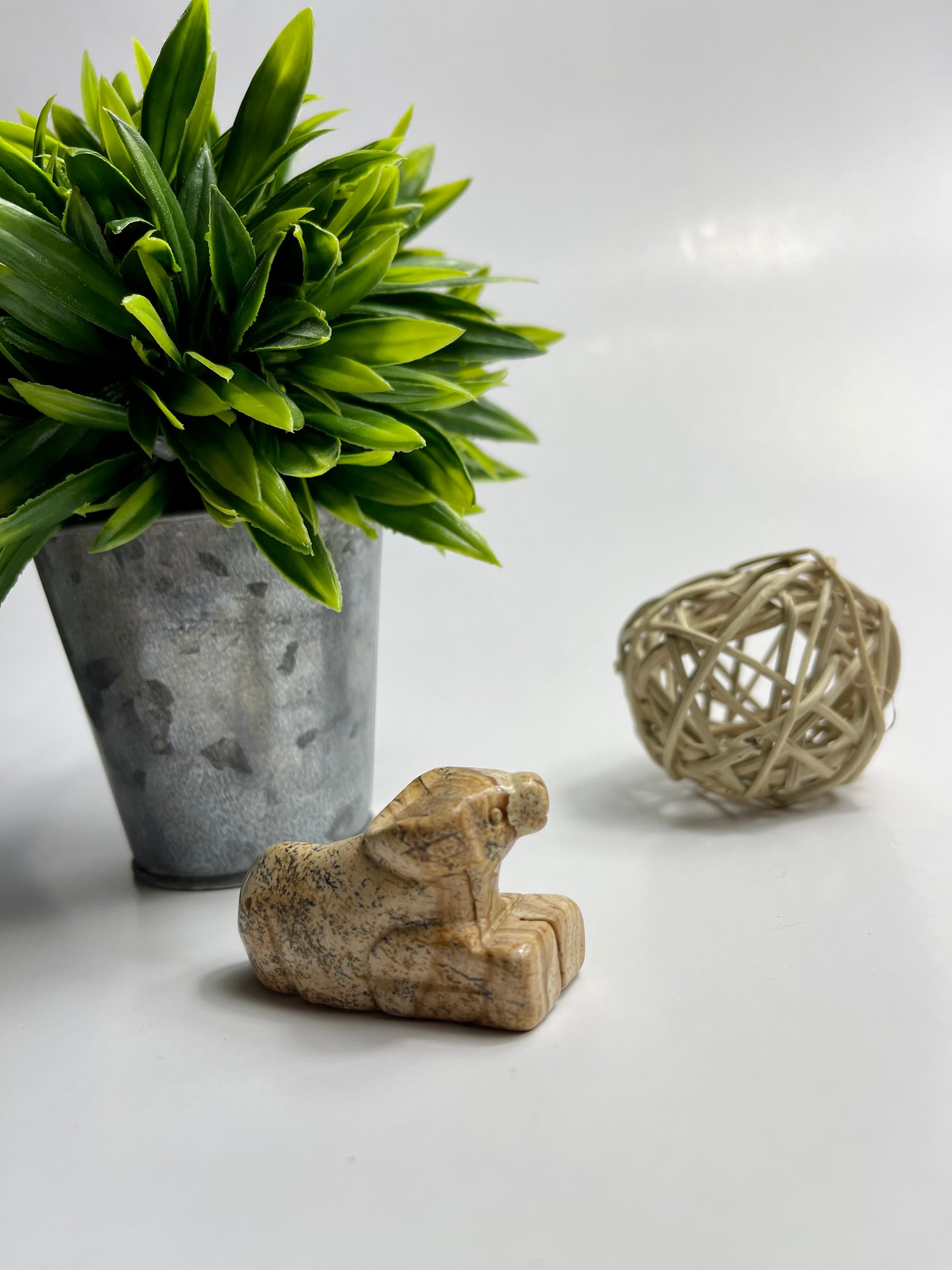 Picture Jasper Animals - Canadian Crystal Queens
