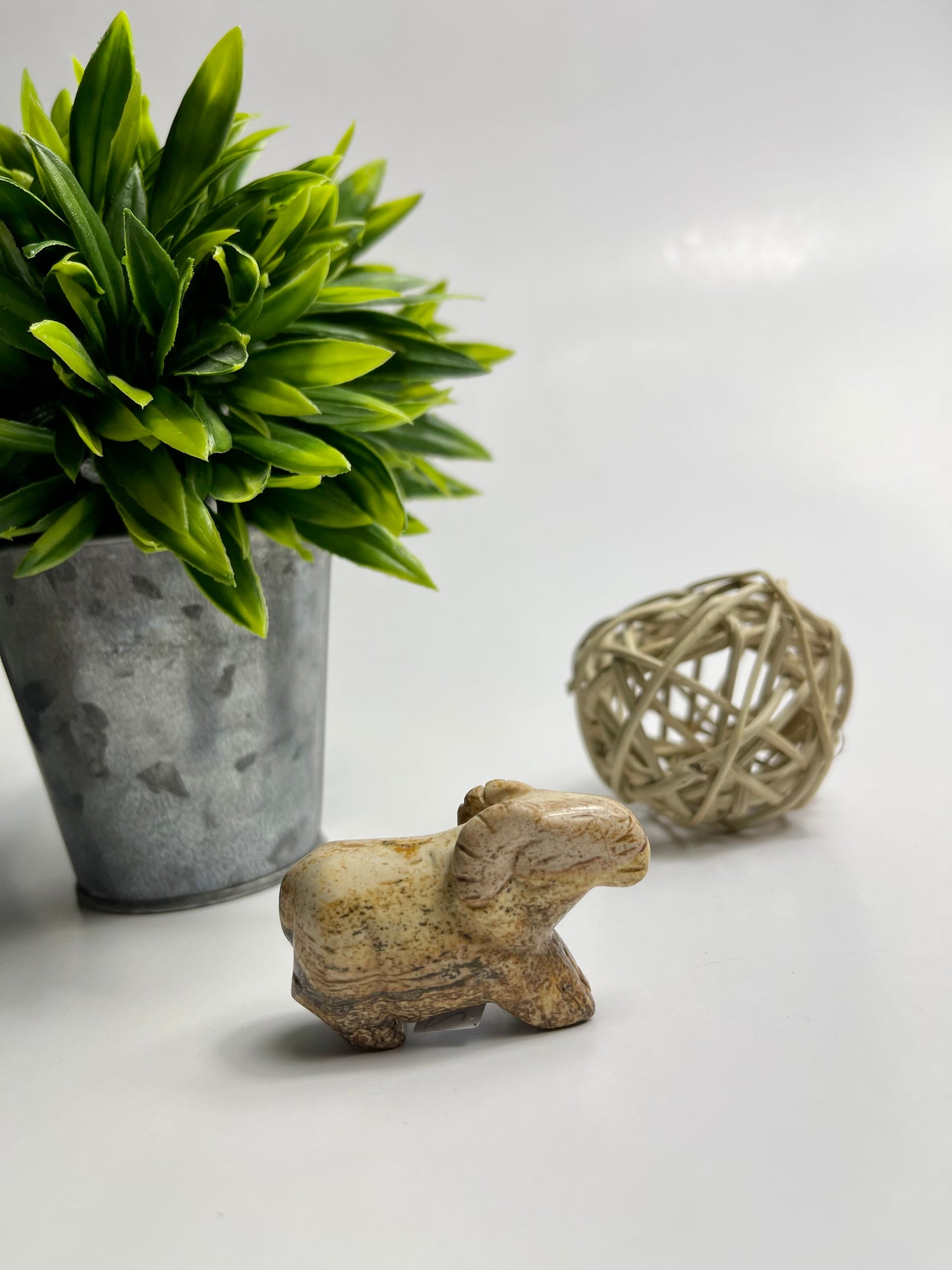 Picture Jasper Animals - Canadian Crystal Queens