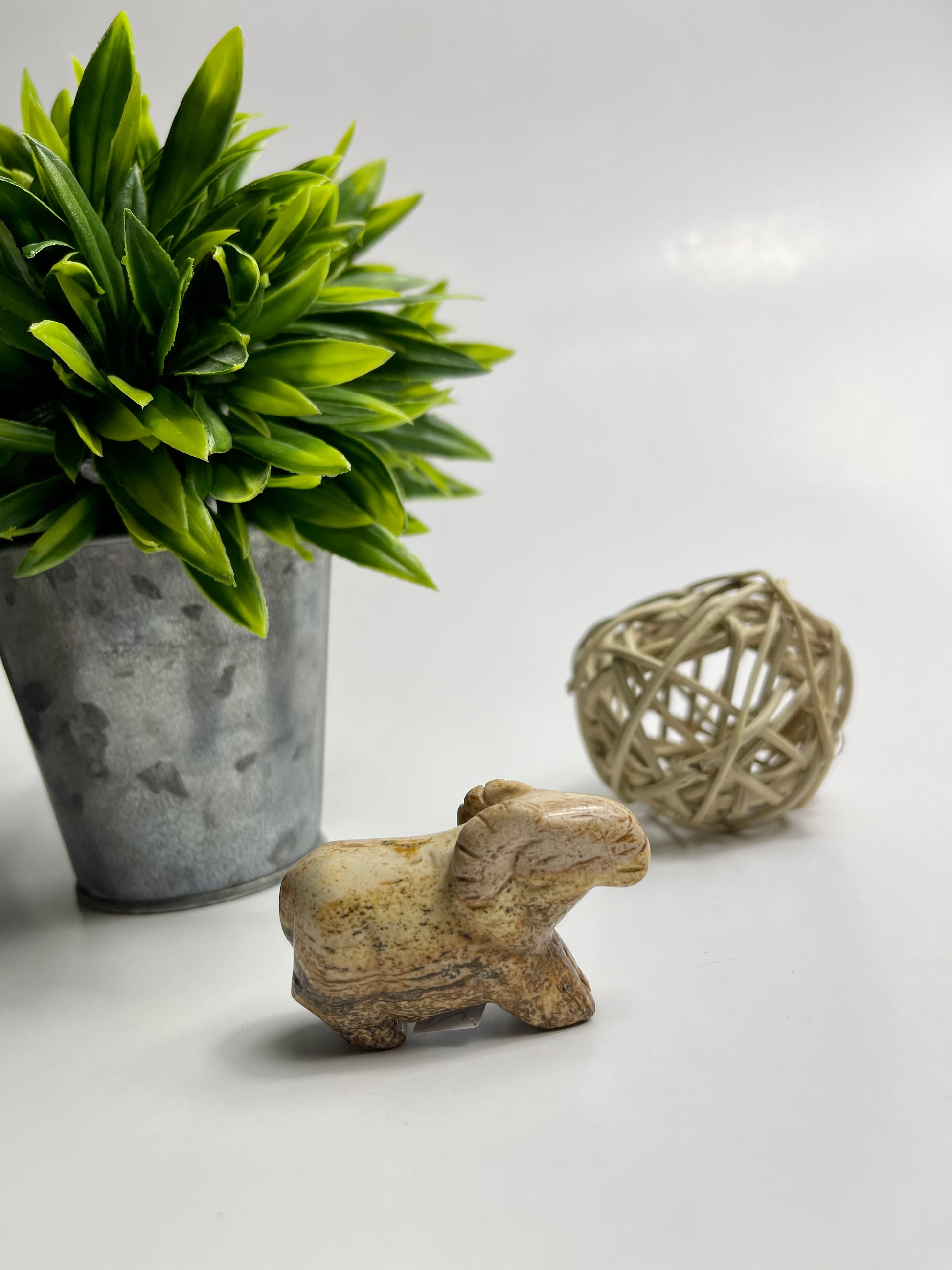 Picture Jasper Animals - Canadian Crystal Queens
