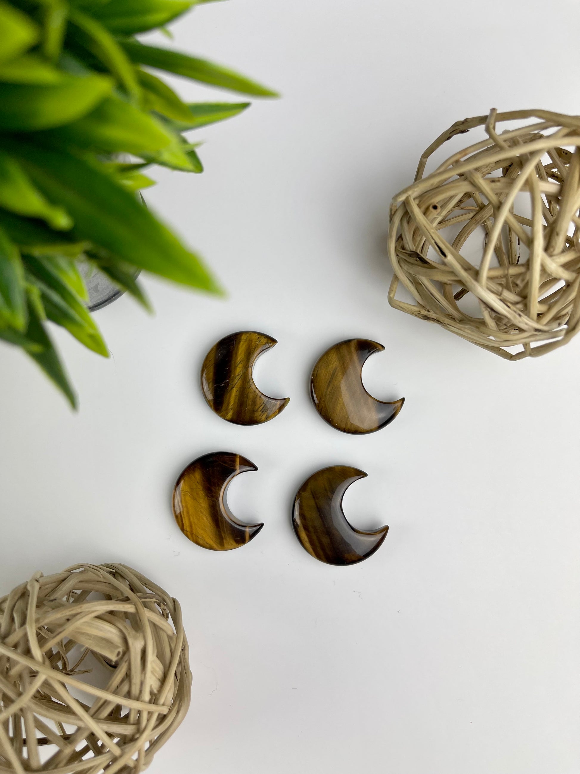 Crystal Moons - Canadian Crystal Queens