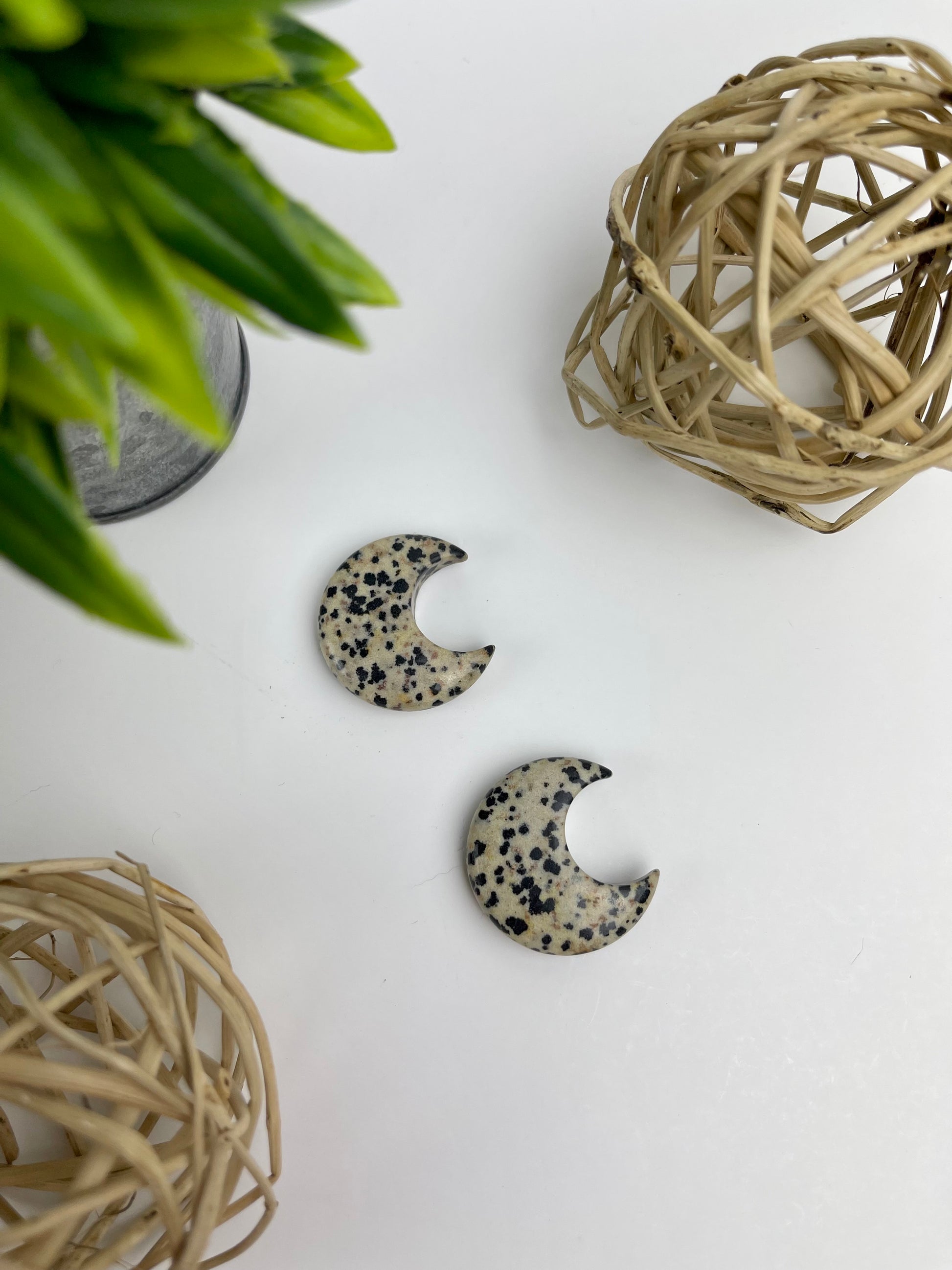 Crystal Moons - Canadian Crystal Queens