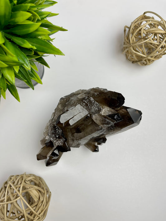 Smokey Quartz Cluster #16 (Dark) - Canadian Crystal Queens