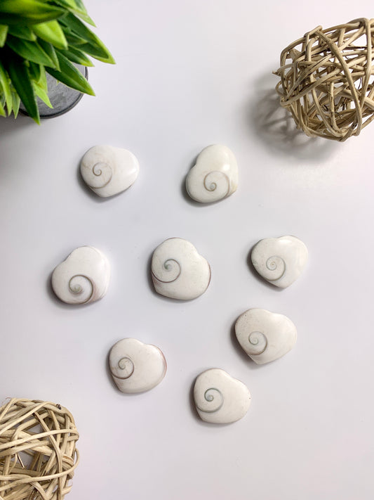 Shiva Eye Shell Hearts - Canadian Crystal Queens