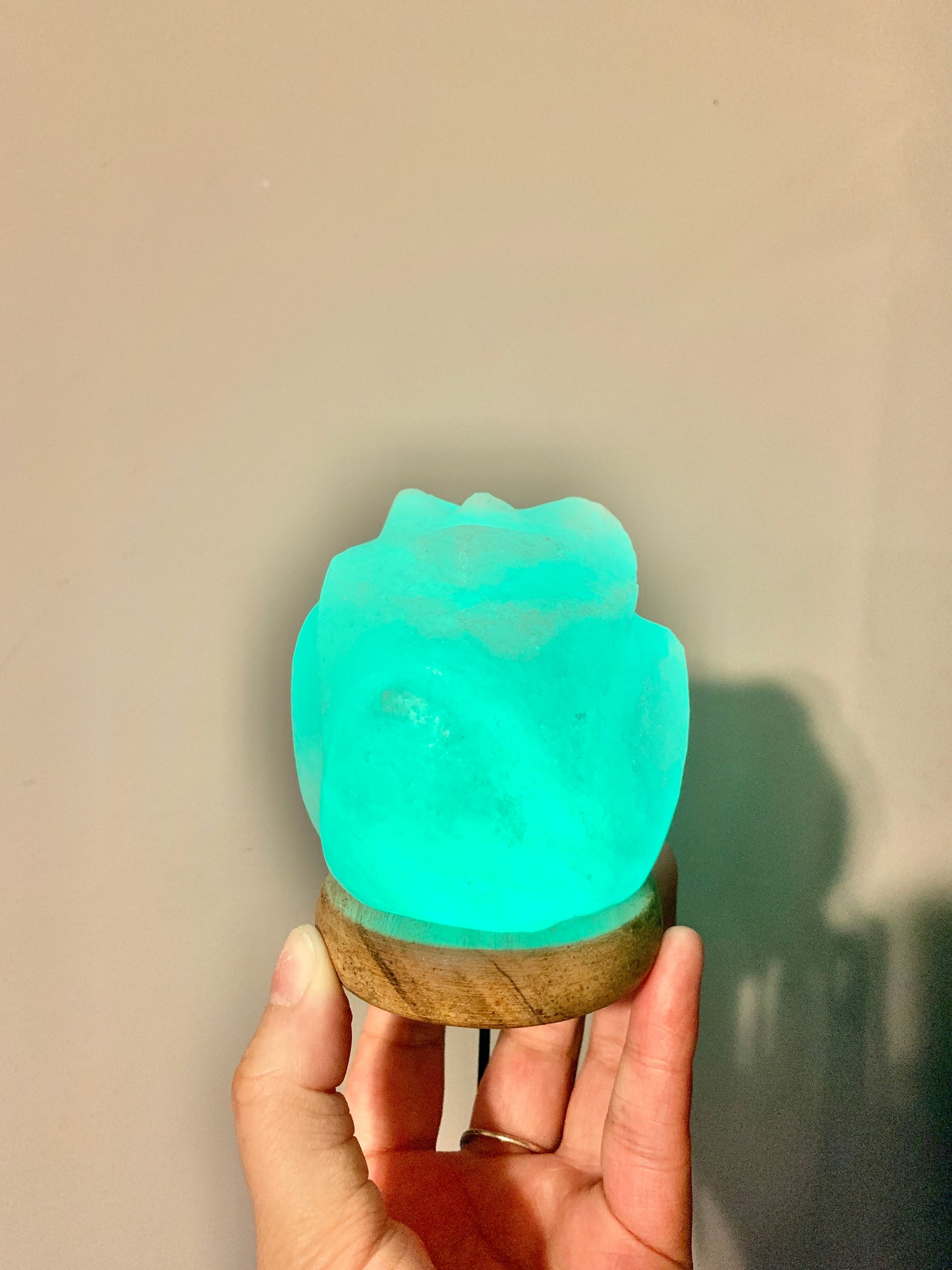 USB Colour Changing White Himalayan Salt Lamp - Flower