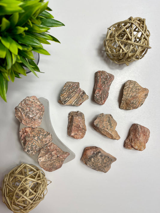 Leopardskin Jasper Raw Pieces