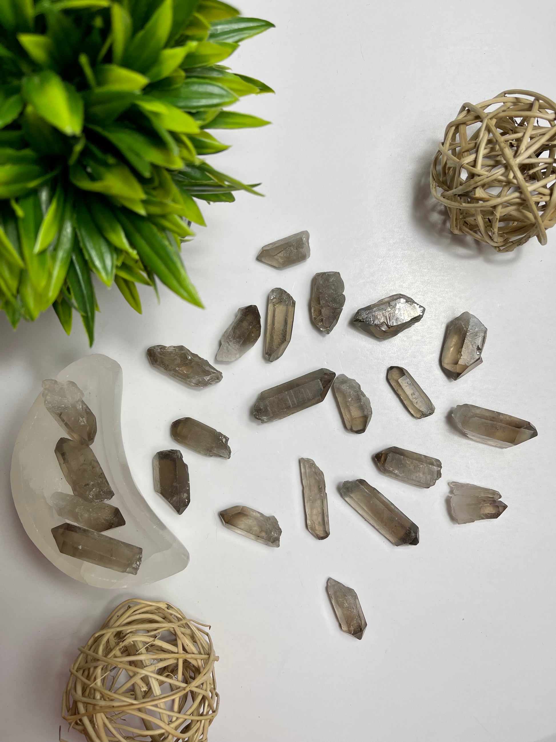 Smokey Quartz Raw Points - Canadian Crystal Queens