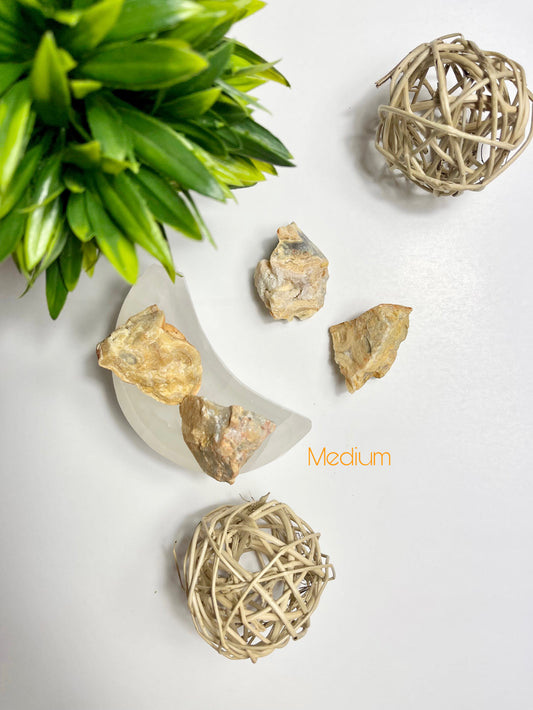Crazy Lace Agate Medium Raw Pieces