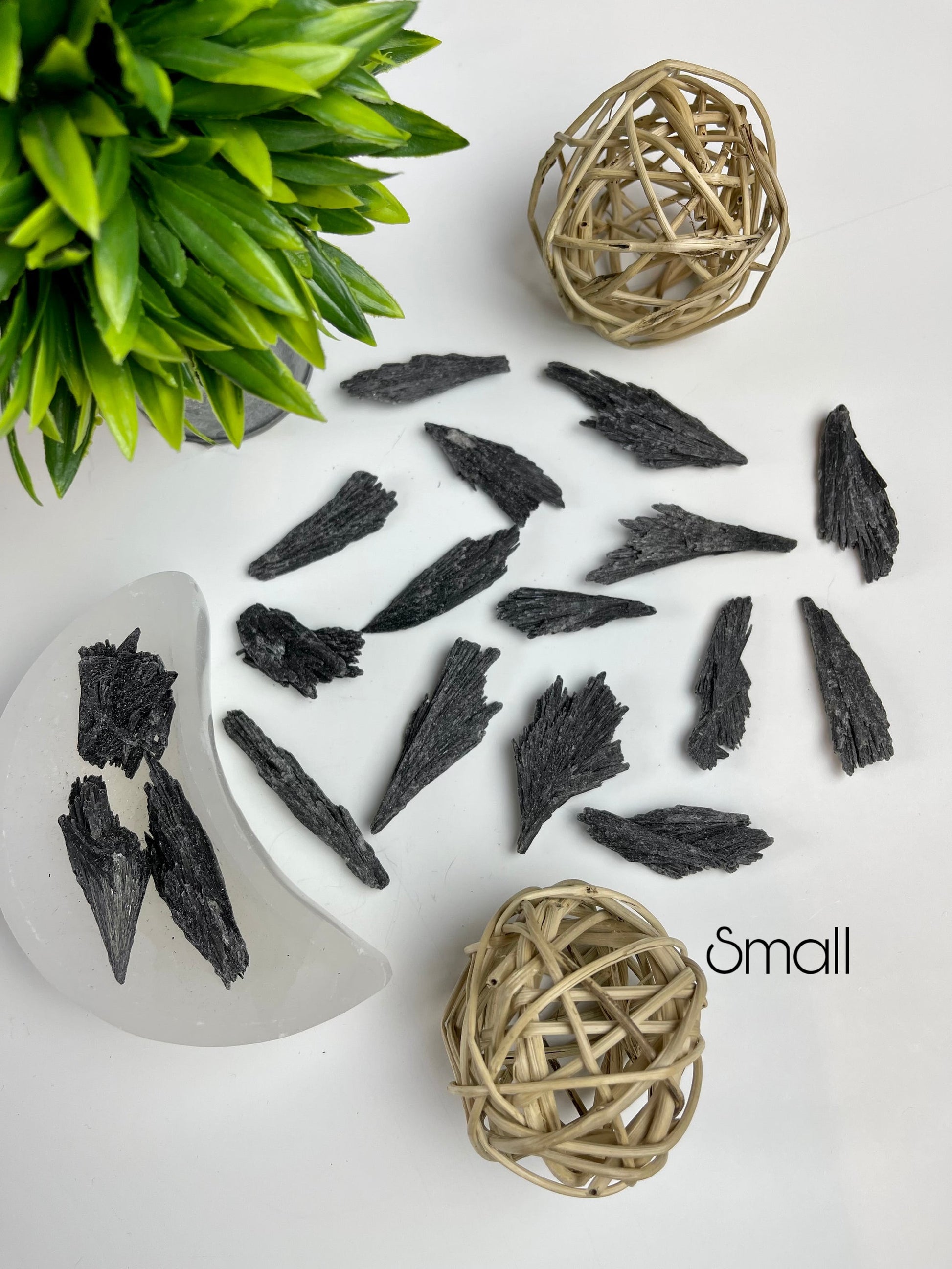 Small Black Kyanite Blades