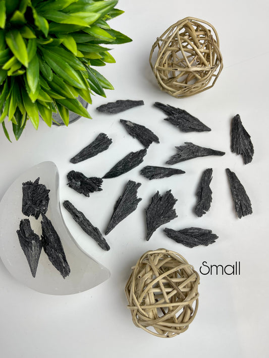 Small Black Kyanite Blades