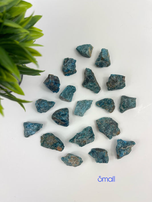 Blue Apatite Small Raw Pieces