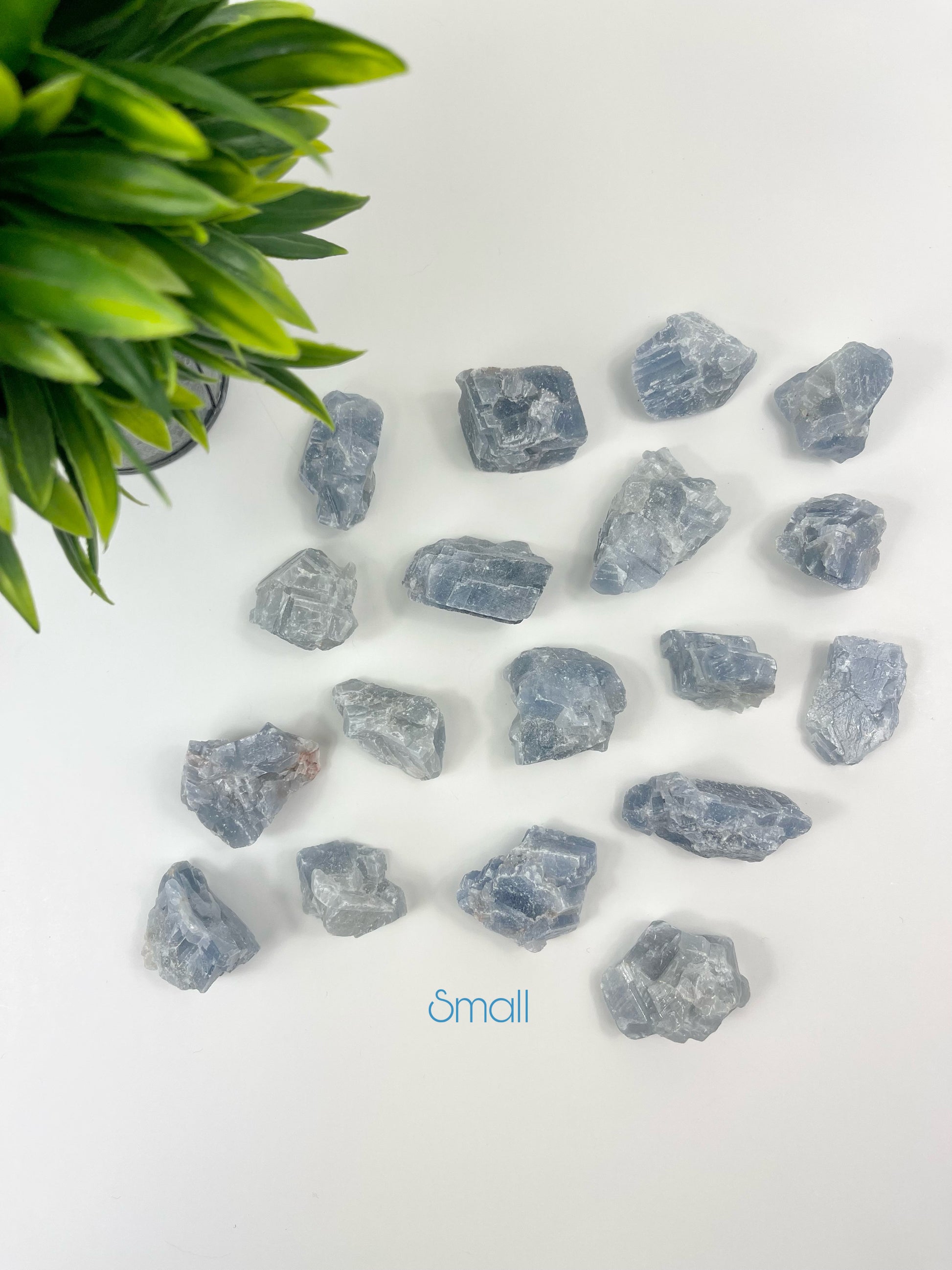 Small Blue Calcite Raw Pieces