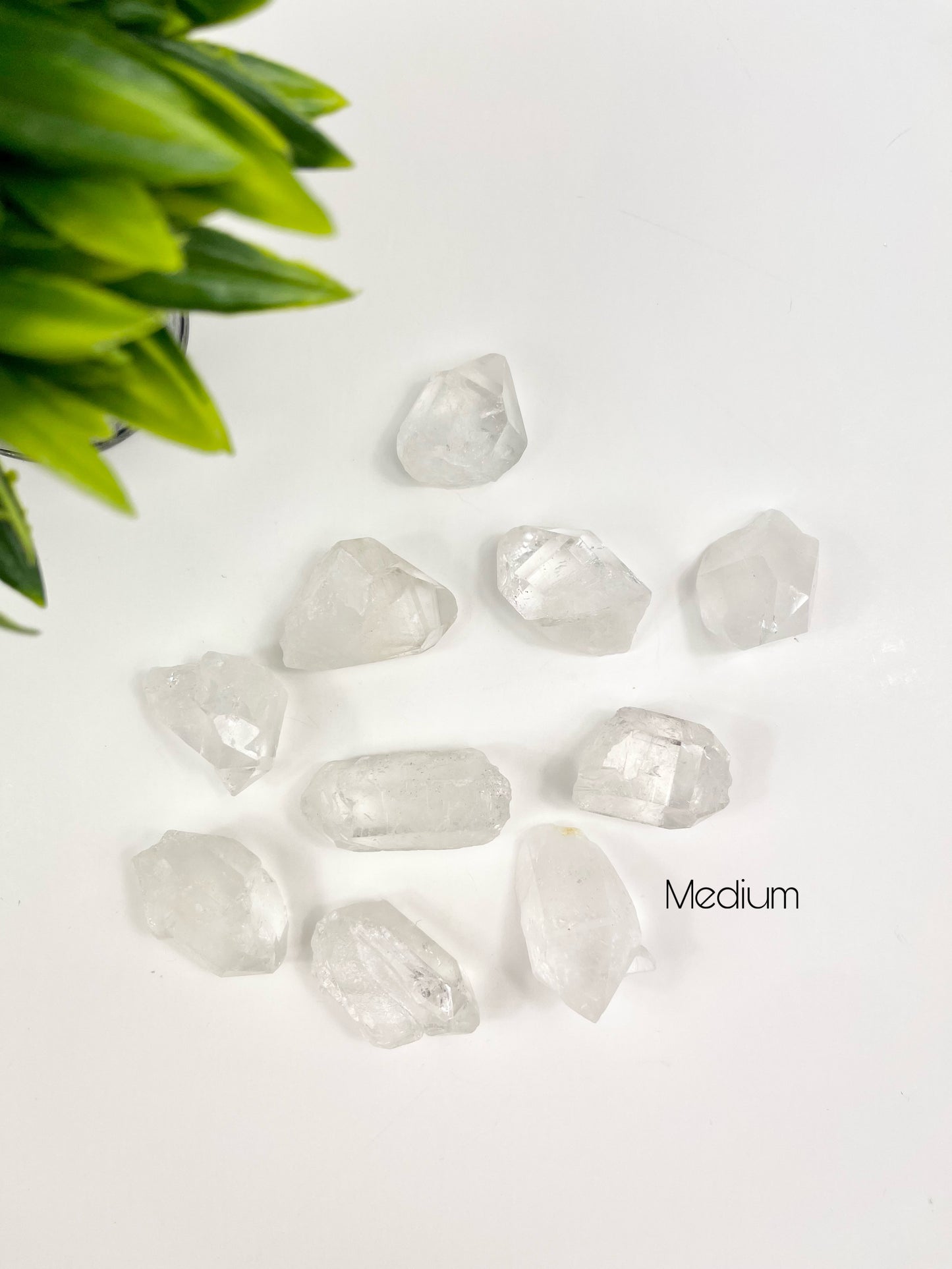 Medium Clear Quartz Raw Points