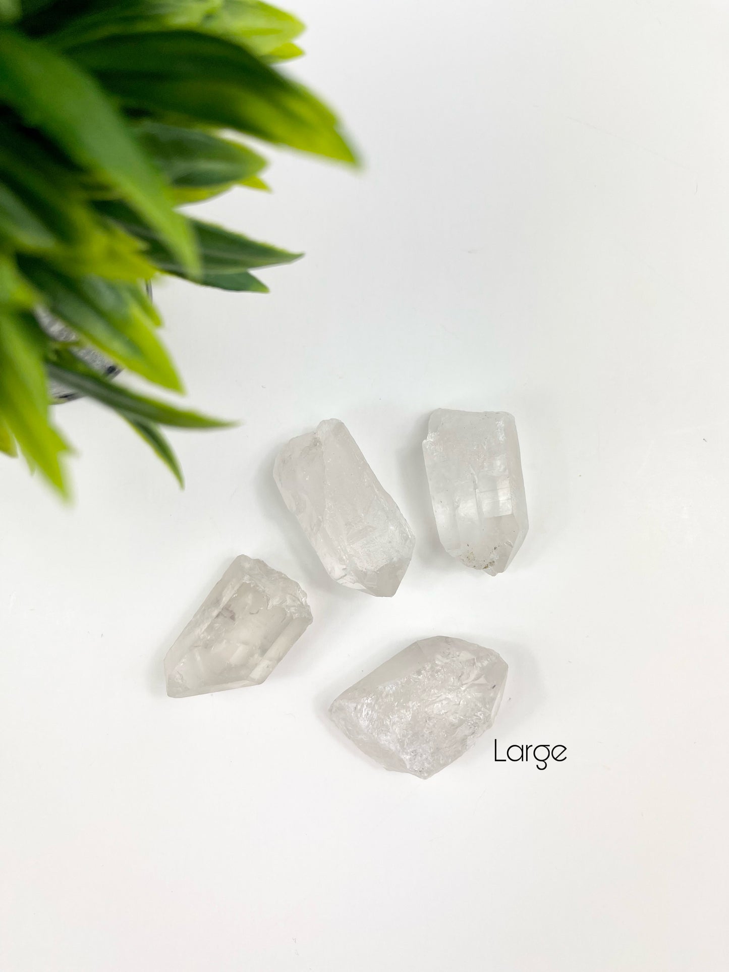 Large Clear Quartz Raw Points