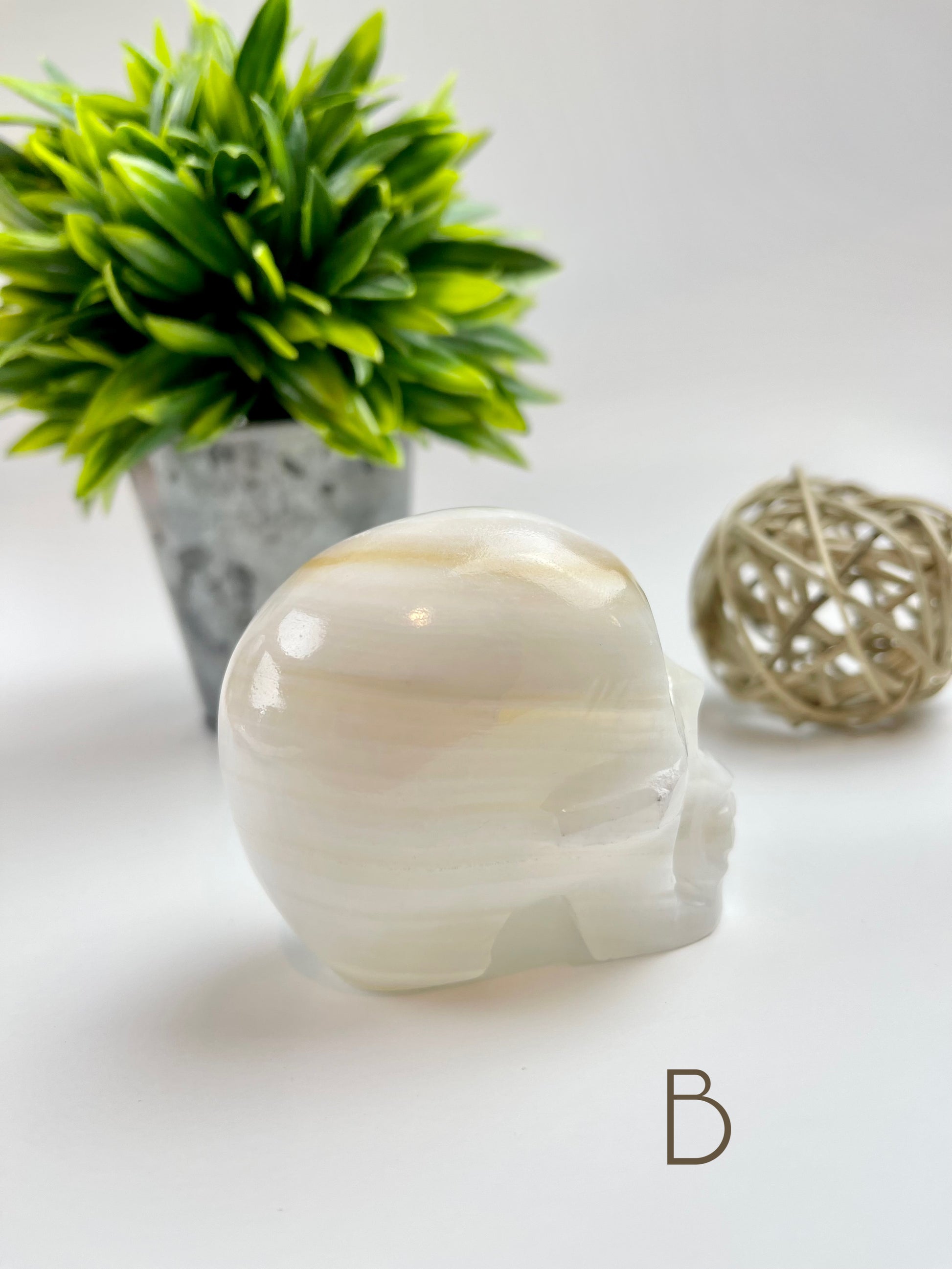 Aragonite Skull B