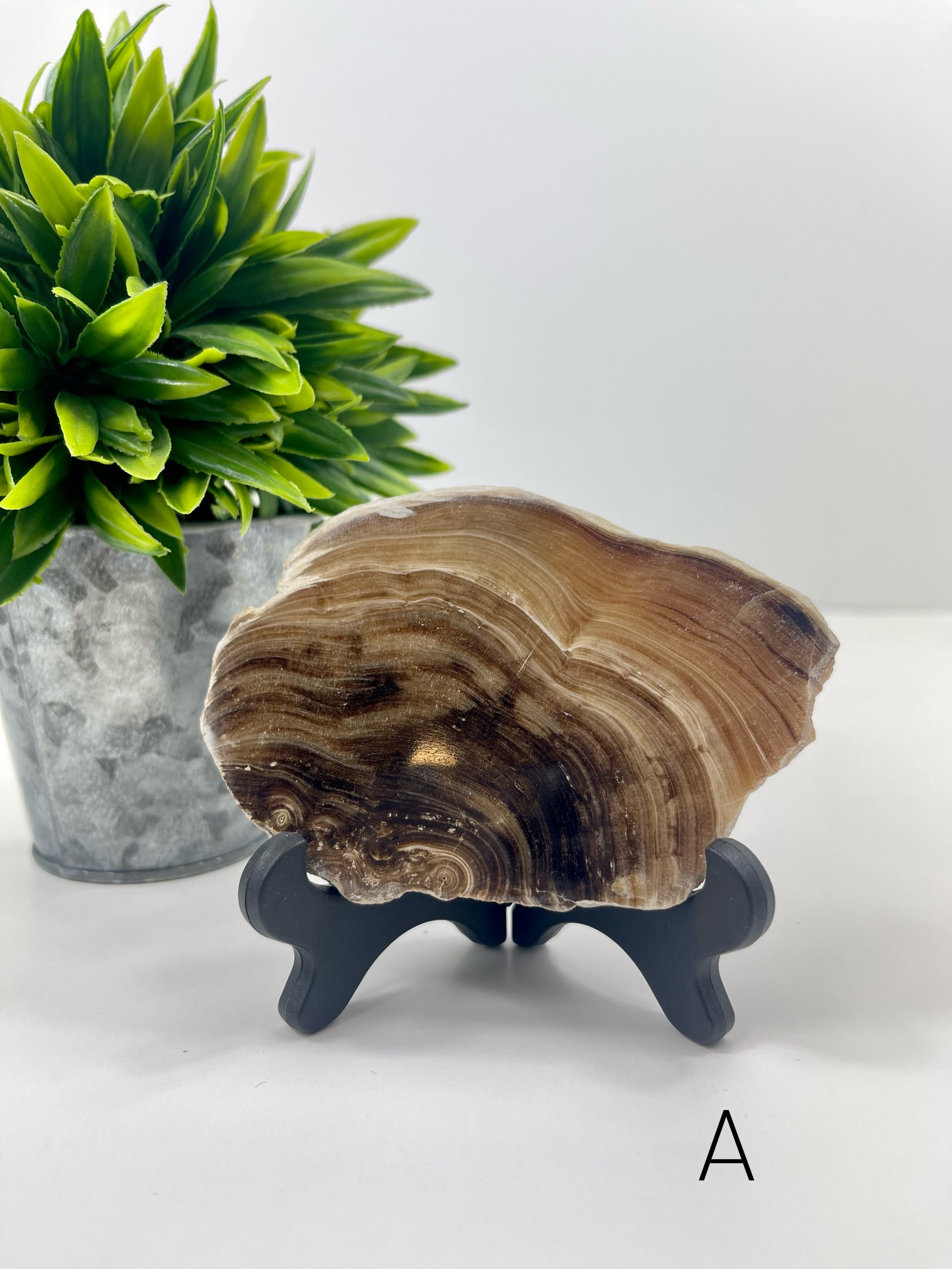 Chocolate Calcite Slab A