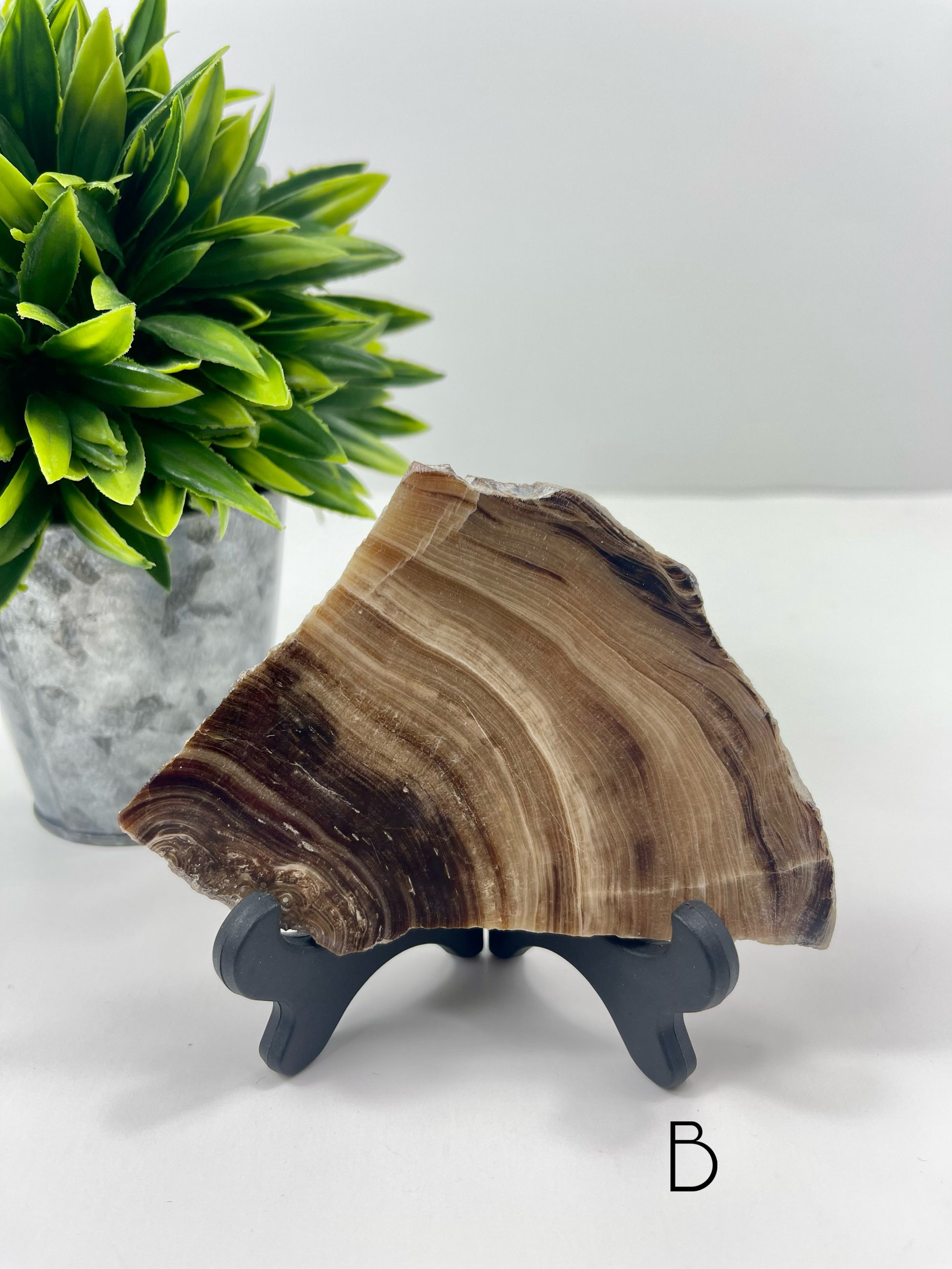 Chocolate Calcite Slab B