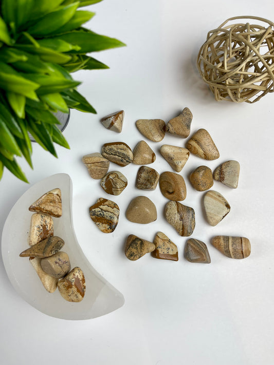 Picture Jasper Tumbles - Canadian Crystal Queens