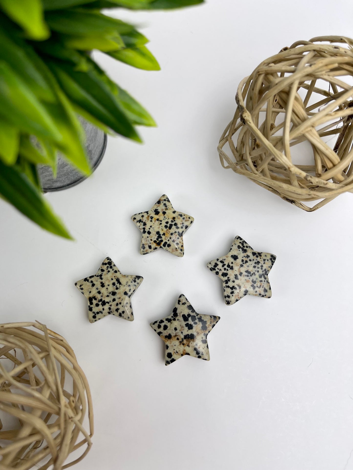 Dalmatian Jasper Crystal Stars