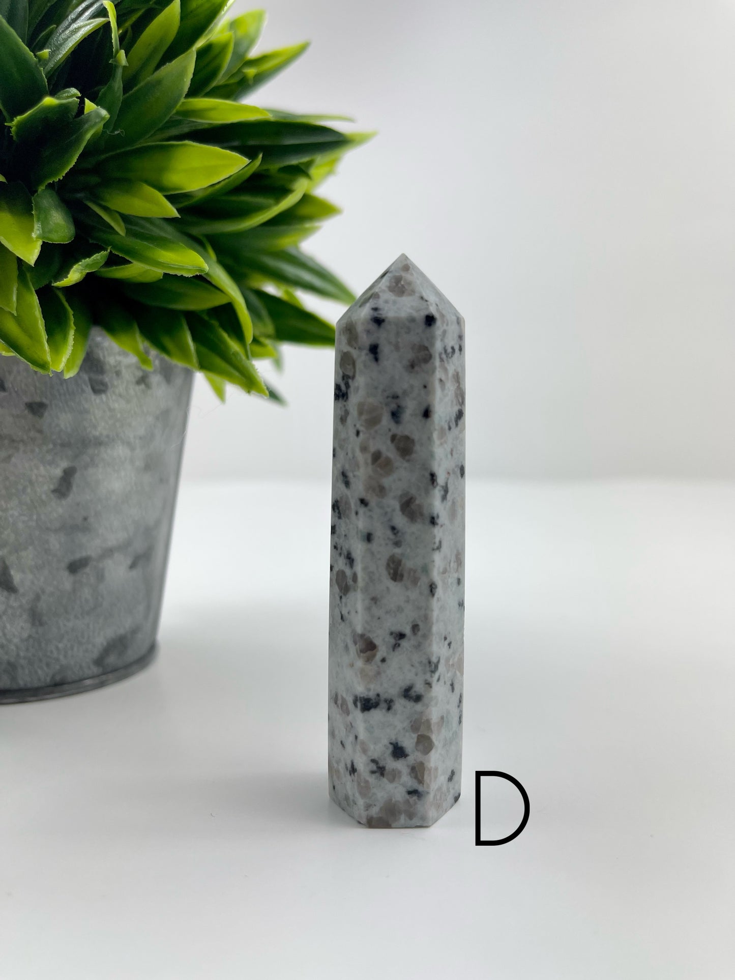 Kiwi Jasper Tower D