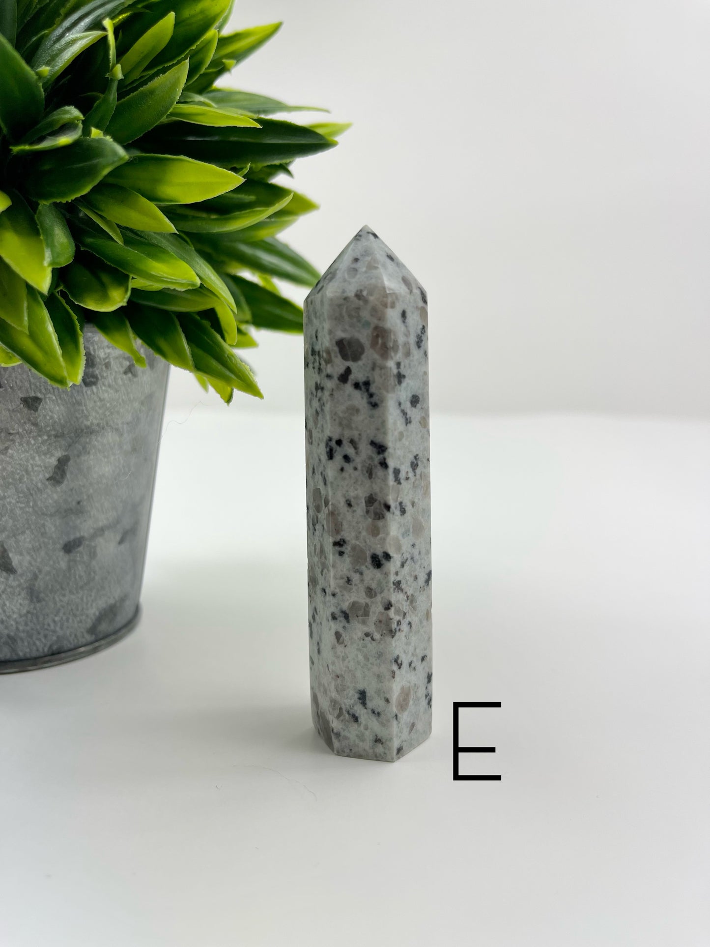Kiwi Jasper Tower E