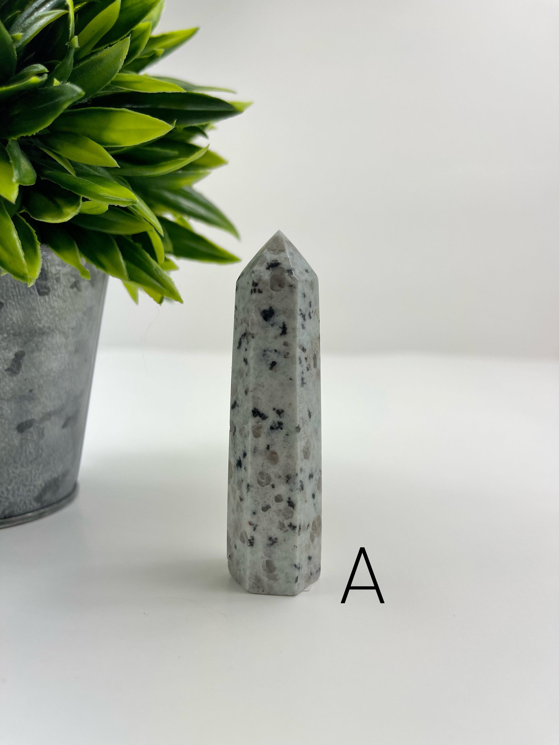Kiwi Jasper Tower A