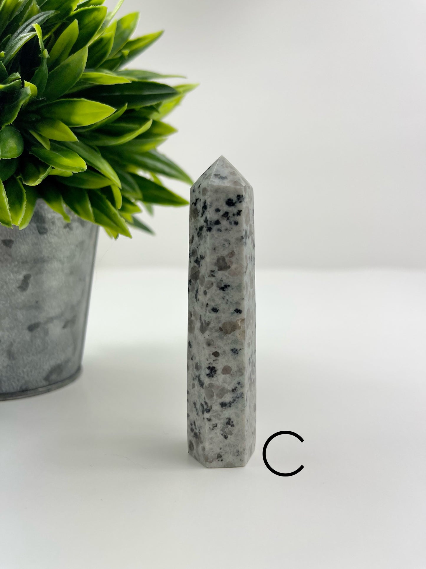 Kiwi Jasper Tower C