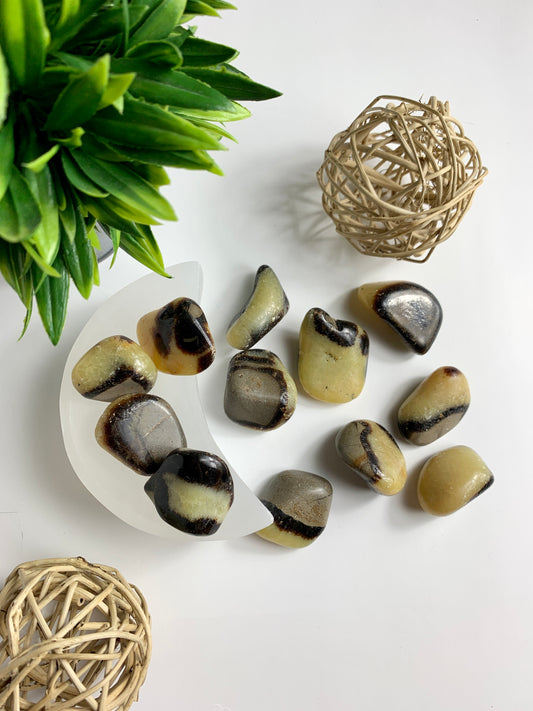 Septarian Tumbles - Canadian Crystal Queens