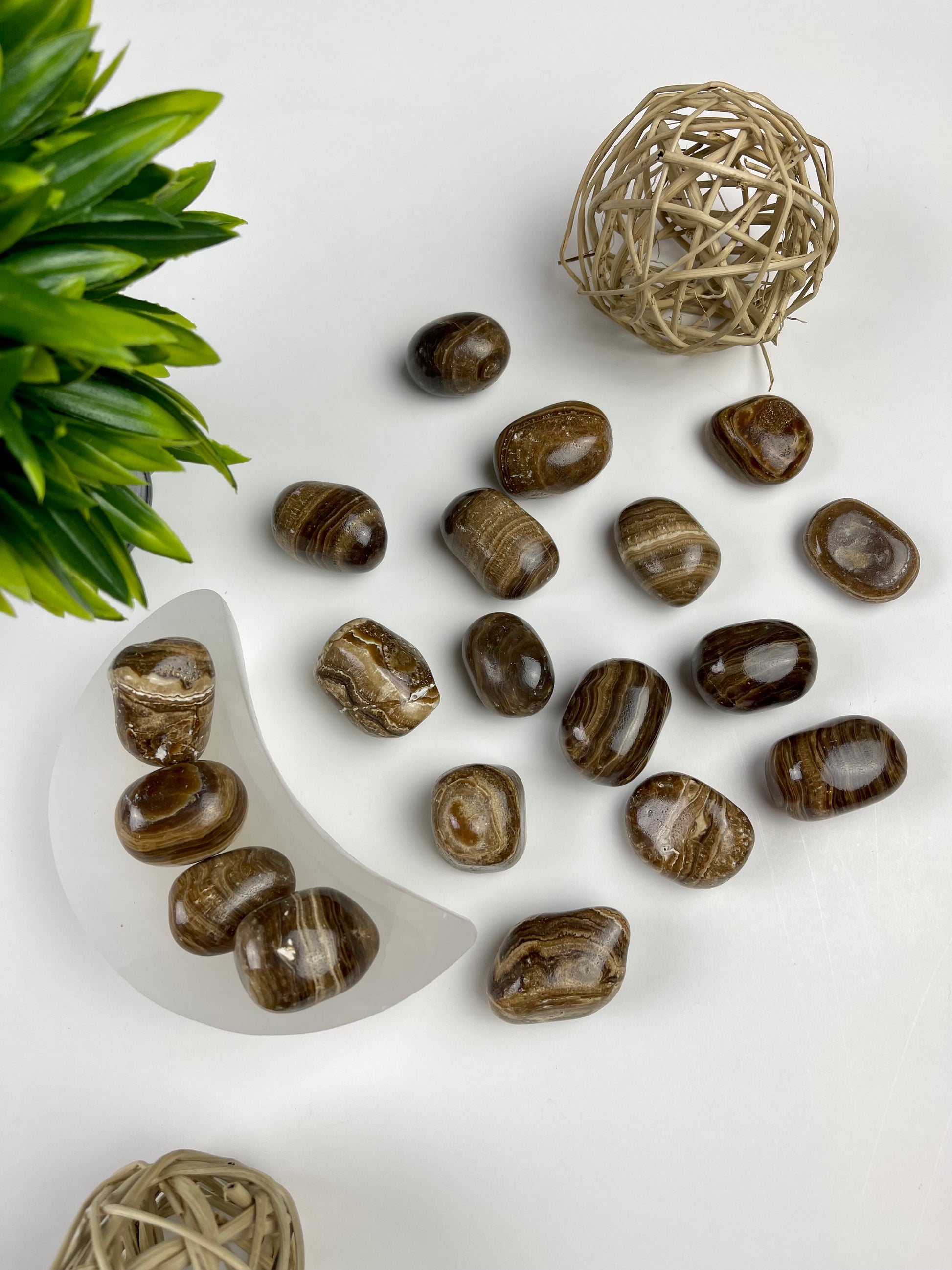 Brown Aragonite Tumbles