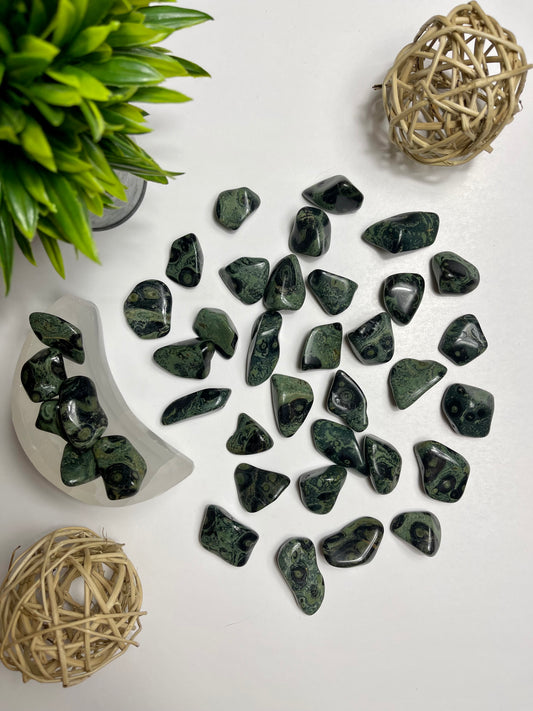Kambaba Jasper Tumbles