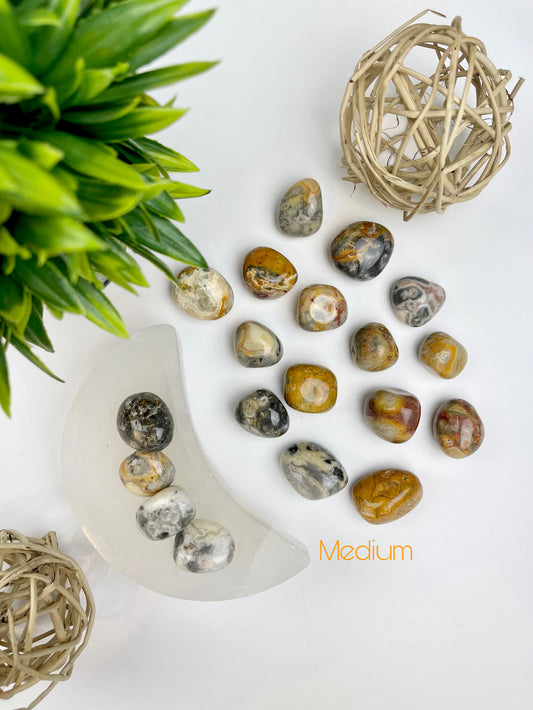 Crazy Lace Agate Medium Tumbles