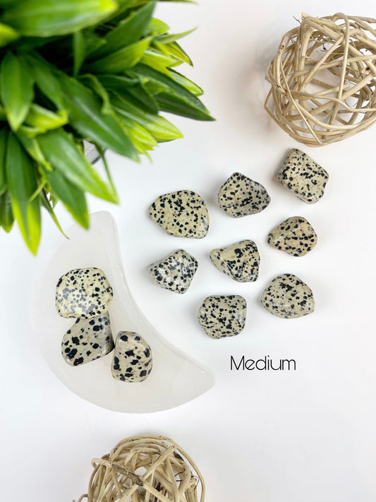Medium Dalmatian Jasper Tumbles