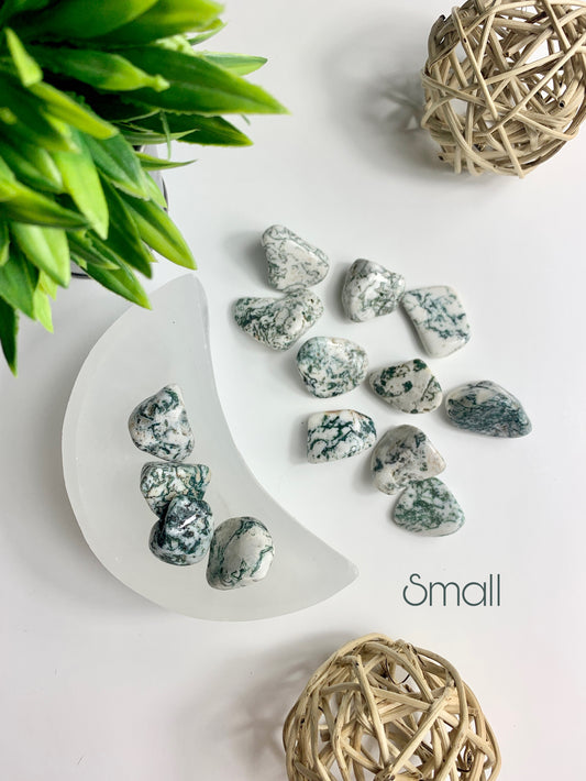 Small Tree Agate Tumbles
