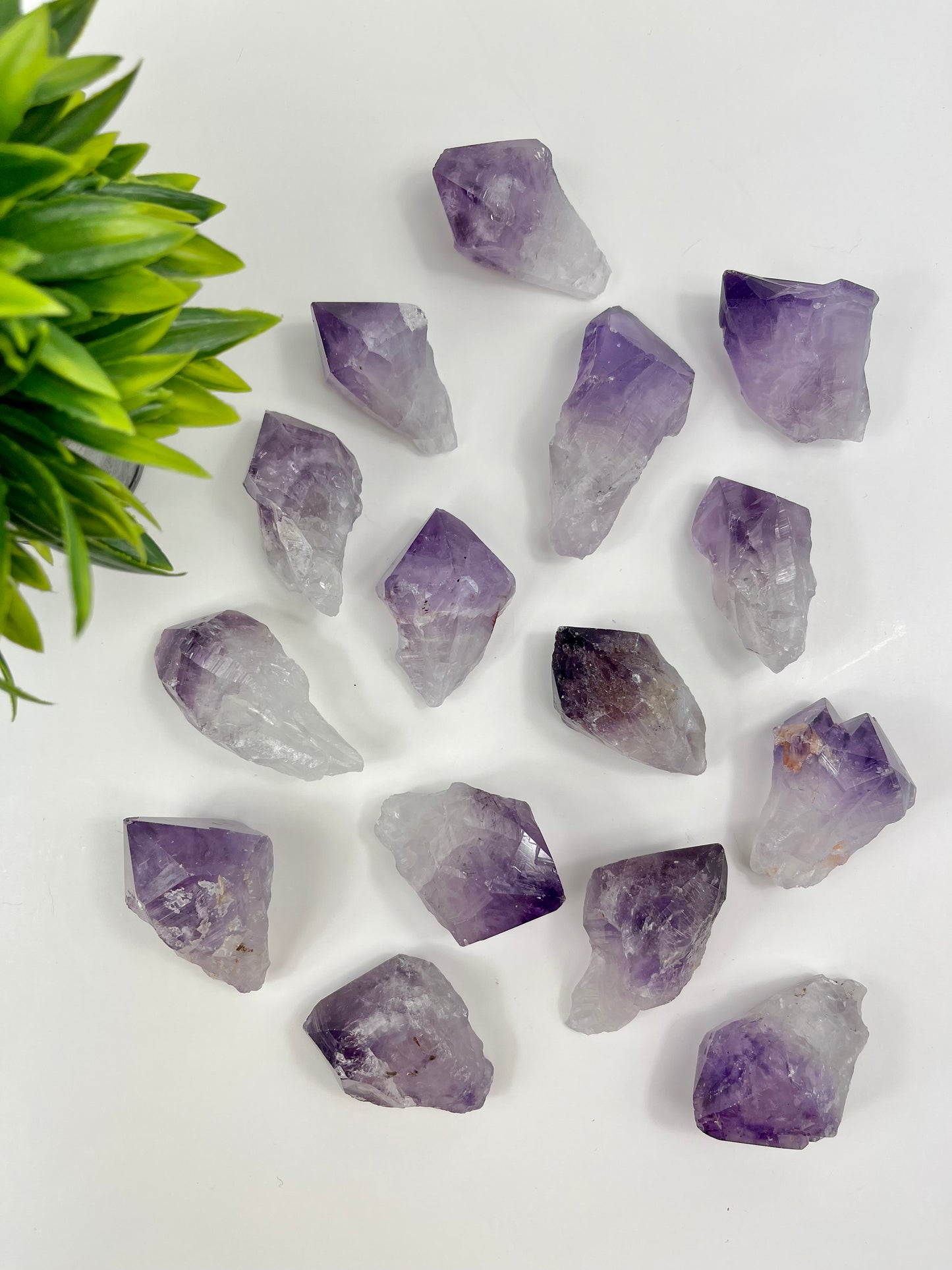 Amethyst Raw Points