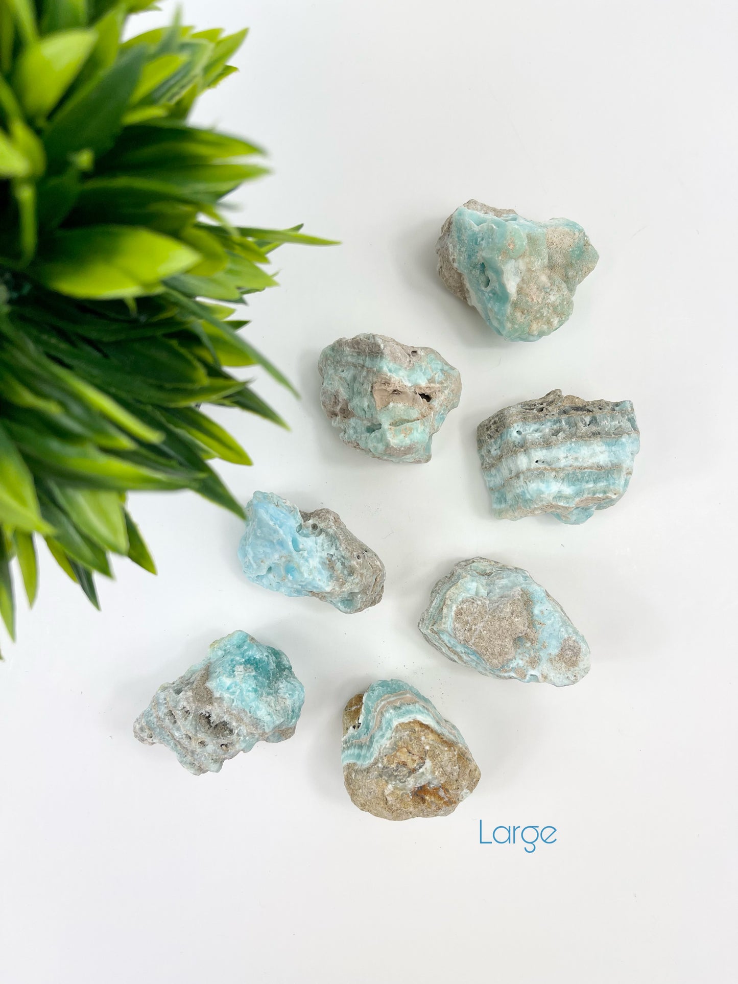 Large Caribbean Blue Calcite Raw Pieces