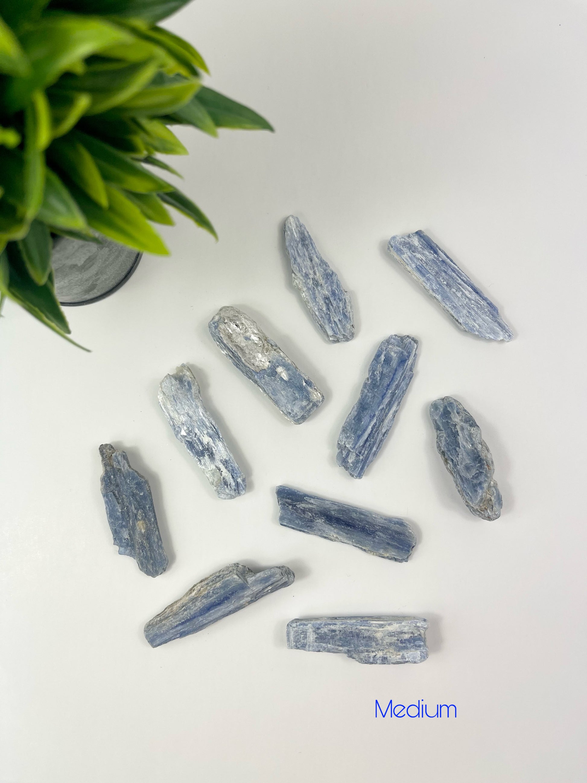 Medium Blue Kyanite Blades