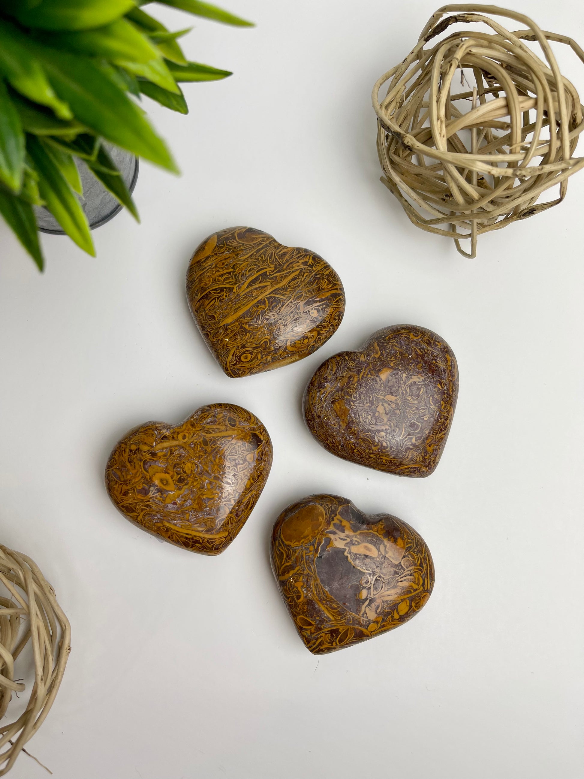 Elephant Skin Jasper Hearts