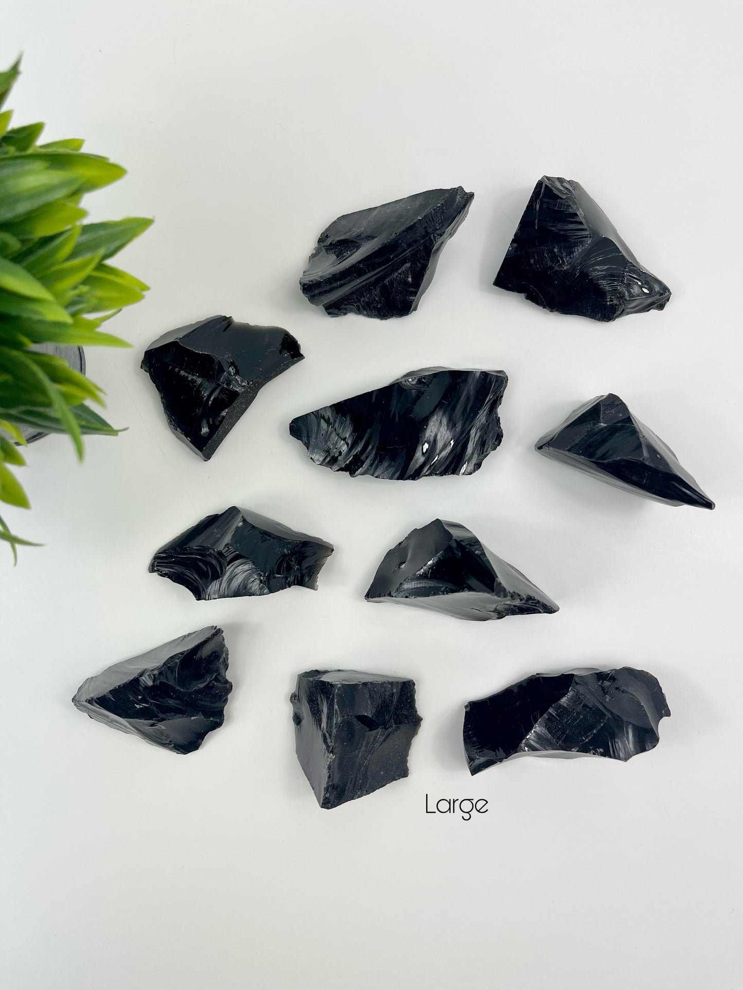 Large Black Obsidian Raw Pieces