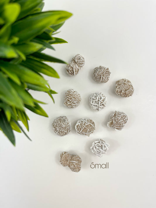 Small Desert Rose Raw Pieces